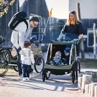 Thule Courier 10102002 kerékpáros gyermekhordozó, vintage green