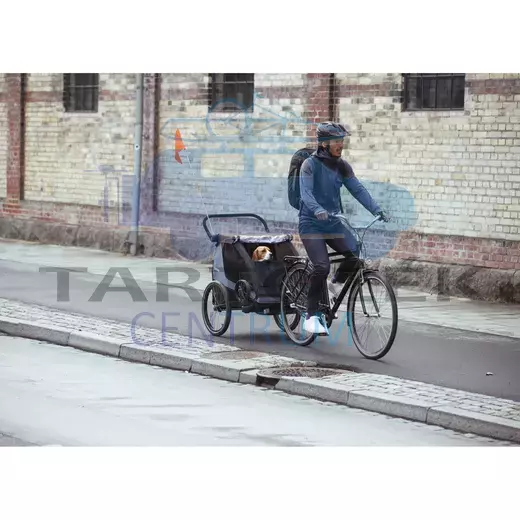 Thule Courier 10102001 kerékpáros gyermekhordozó, kék