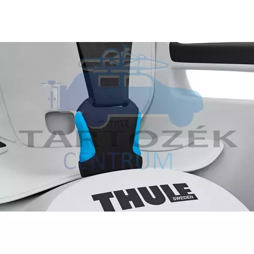 Thule RideAlong 2 100207 hátsó kerékpáros gyerekülés, szürke