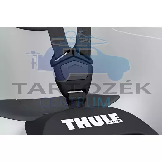 Thule RideAlong 2 Lite 100210 hátsó kerékpáros gyerekülés, szürke