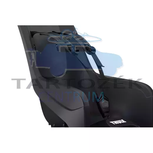 Thule RideAlong 2 Lite 100209 hátsó kerékpáros gyerekülés, fekete