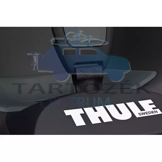 Thule RideAlong 2 Lite 100209 hátsó kerékpáros gyerekülés, fekete