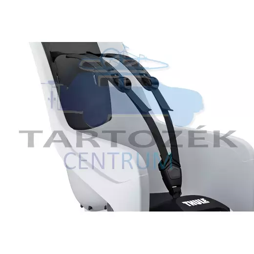 Thule RideAlong 2 Lite 100210 hátsó kerékpáros gyerekülés, szürke