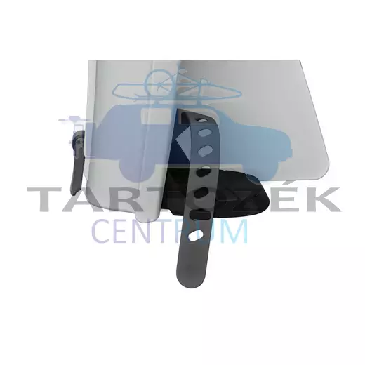 Thule RideAlong 2 Lite 100210 hátsó kerékpáros gyerekülés, szürke
