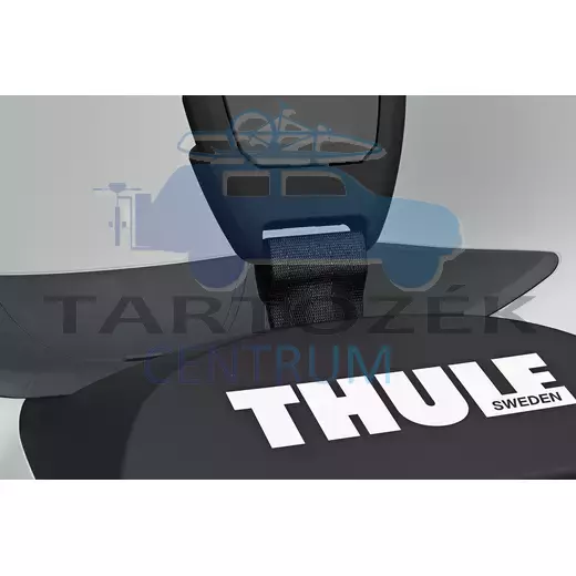 Thule RideAlong 2 Lite 100210 hátsó kerékpáros gyerekülés, szürke