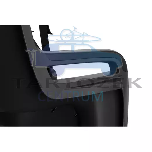 Thule RideAlong 2 100206 hátsó kerékpáros gyerekülés, fekete