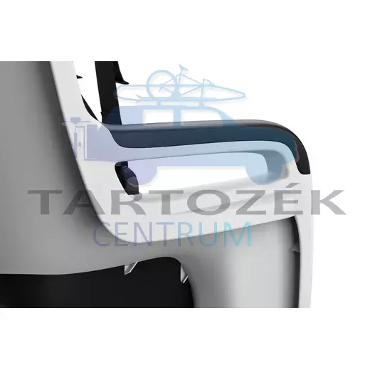 Thule RideAlong 2 100207 hátsó kerékpáros gyerekülés, szürke