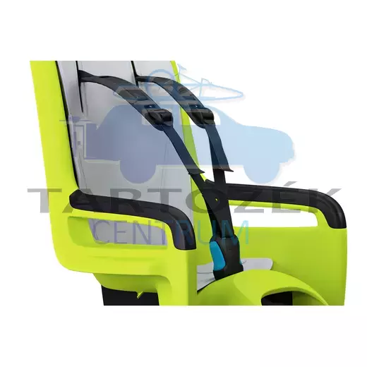 Thule RideAlong 2 100208 hátsó kerékpáros gyerekülés, lime