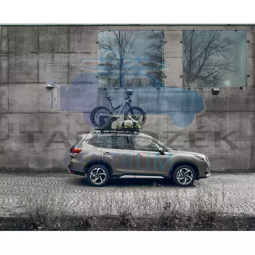 Thule tetőcsomagtartó platform Caprock M 611002, fekete