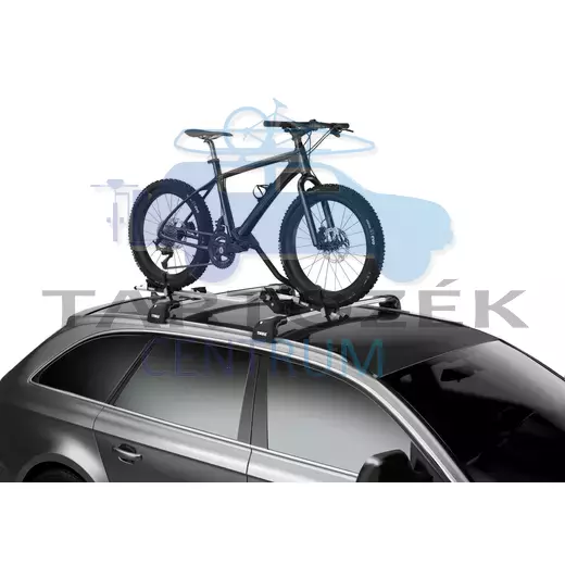 Thule ProRide 598-1 fatbike adapter