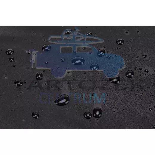 Thule Chasm carry on 3204985 poggyász 40L, Black