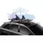 Thule SnowPack 7326 síléctartó, 75 cm