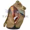 Thule Paramount 3205013 hátizsák 24L, világosbarna
