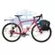 Thule Shield 3204207 kerékpáros táska 13L, sárga