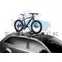 Thule ProRide 598-1 fatbike adapter