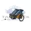 Thule Chariot Sport 2 Double 10201033, natural gold