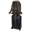 Thule Chasm 3205223 26L hátizsák, deep khaki