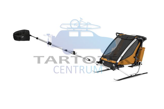 Thule Chariot Sport 2 Double 10201033, natural gold