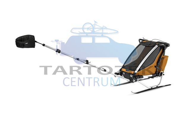 Thule Chariot Sport 2 Single 10201032, Natural gold